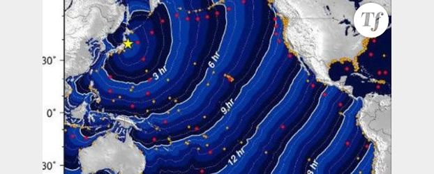 Séisme au Japon : les côtes du Pacifique sont en alerte