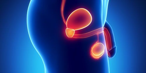 Un test de dépistage du cancer du pancréas mis au point par un ado