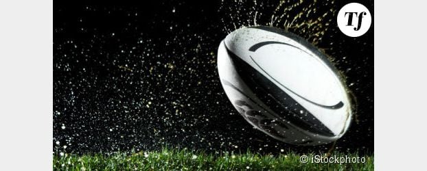 Match rugby Irlande vs France en direct live streaming sur Internet