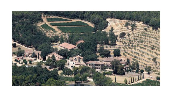 Le vin rosé d’Angelina Jolie et Brad Pitt en vente