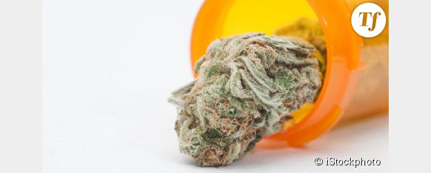 Cannabis thérapeutique : la condamnation d'un malade relance le débat