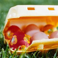 Pâques : pourquoi mange-t-on des œufs en chocolat ?
