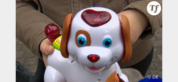 Bobby : le jouet en forme de chien qui fait scandale en Belgique - Vidéo