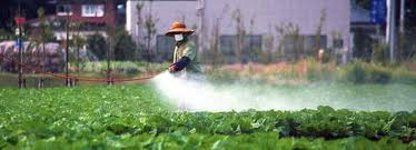 Japon: la liste des aliments radioactifs 