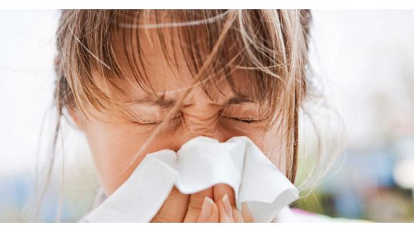 Allergies au pollen : de nouveaux traitements efficaces ?