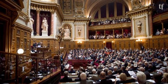 Sécurisation de l'emploi : le Sénat adopte la loi dans la douleur