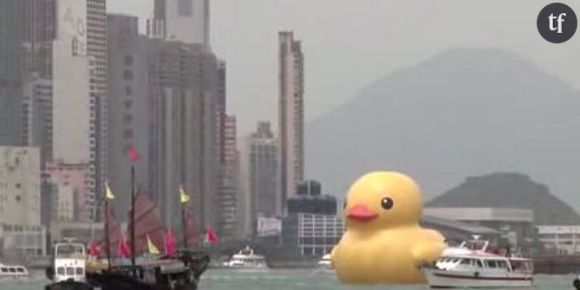 Un canard géant en plastique dans le port de Hong Kong - Vidéo