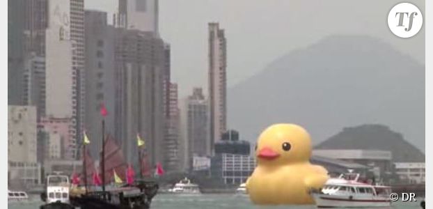 Un canard géant en plastique dans le port de Hong Kong - Vidéo