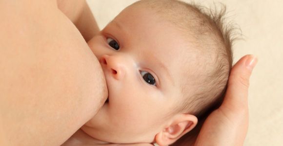 Du lait maternel pour réduire la résistance aux antibiotiques ?