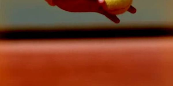 roland garros 2020 results