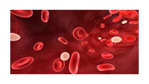 Leucémie : découverte de nouveaux gènes impliqués dans la maladie