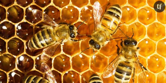 10% du miel commercialisé en France est faux