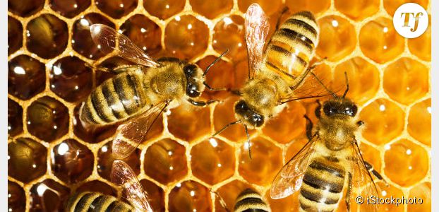 10% du miel commercialisé en France est faux