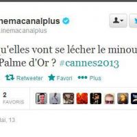 Palme d'or de Cannes 2013 : Le tweet choquant de Canal Plus sur La vie d'Adèle