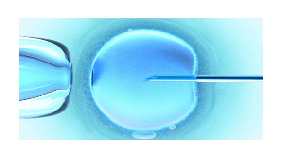 Lois Bioéthiques : le Sénat réintroduit la levée de l’anonymat des donneurs de gamètes