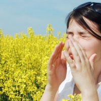 Alerte allergique : le rhume des foins arrive avec le printemps