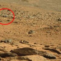 Le rover Curiosity croise un rat sur la planète Mars