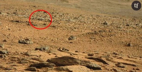 Le rover Curiosity croise un rat sur la planète Mars
