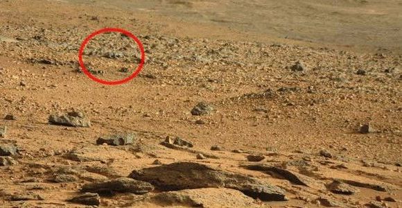 Le rover Curiosity croise un rat sur la planète Mars