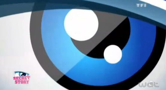 Secret Story 7 : les meilleurs moments du 9 juin sur TF1 Replay