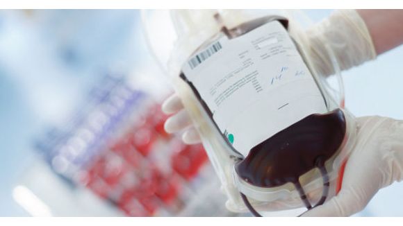 Don du sang 2013 : 28% des donneurs sont des jeunes 