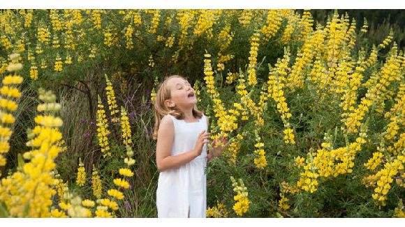 Alerte au rhume des foins : code rouge sur (presque) toute la France