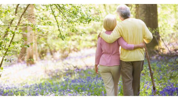 PERCO : tout ce que vous devez savoir sur ce plan d'épargne retraite supplémentaire 