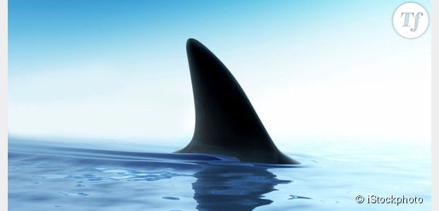 Une ado de 15 ans tuée par un requin à La Réunion