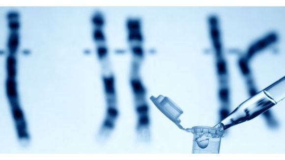 Trisomie : le chromosome 21 enfin maîtrisé