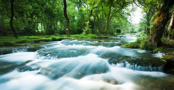 Pesticides : 93% des cours d'eau français pollués