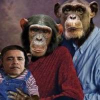 Etats-Unis: un photomontage de Barack Obama en singe suscite la polémique