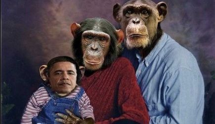 Etats-Unis: un photomontage de Barack Obama en singe suscite la polémique