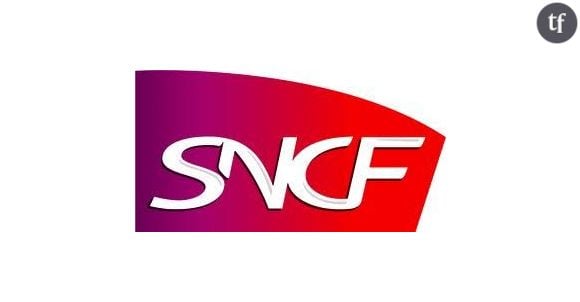 SNCF : trafic Paris-Beauvais bloqué pendant 24 heures à cause de 12 câbles volés