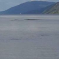 Monstre du Loch Ness : un homme filme une "longue forme noire" - vidéo