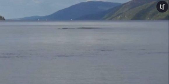 Monstre du Loch Ness : un homme filme une "longue forme noire" - vidéo