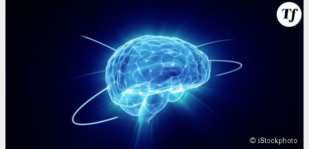 Des scientifiques fabriquent un mini-cerveau