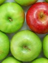 Quelle variété de pomme pour les tartes, compotes, crumbles ou pommes au four ?
