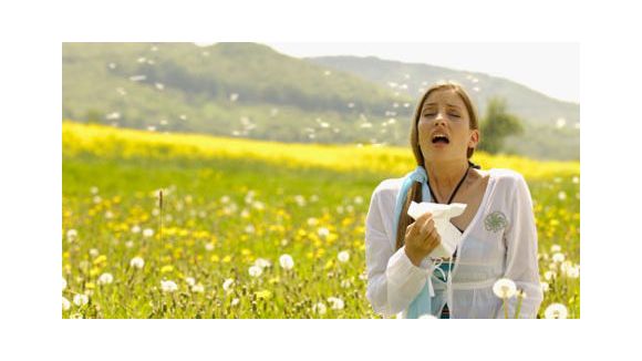 Allergies : attention aux pollens de chêne !