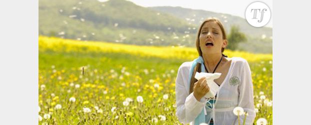 Allergies : attention aux pollens de chêne !