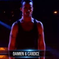 Danse avec les Stars : Damien Sargue danse sur Stromae - TF1 Replay