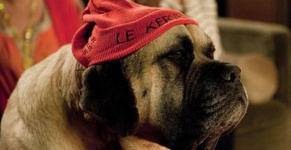 En Famille : mort de Pupuce, le chien des Kervelec