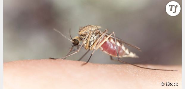 Le premier vaccin anti-paludisme est-il pour bientôt ?