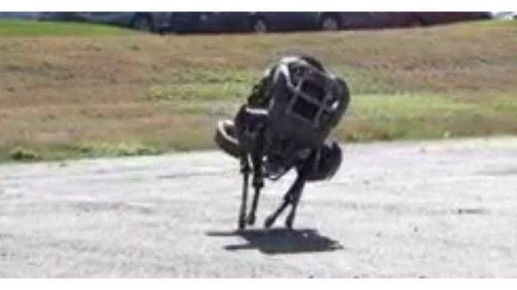 WildCat : le robot chat plus vrai que nature