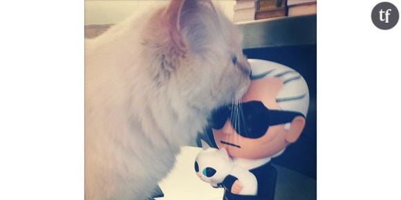 Karl Lagerfeld : sa chatte Choupette en interview dans le magazine Gala