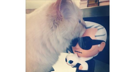 Karl Lagerfeld : sa chatte Choupette en interview dans le magazine Gala