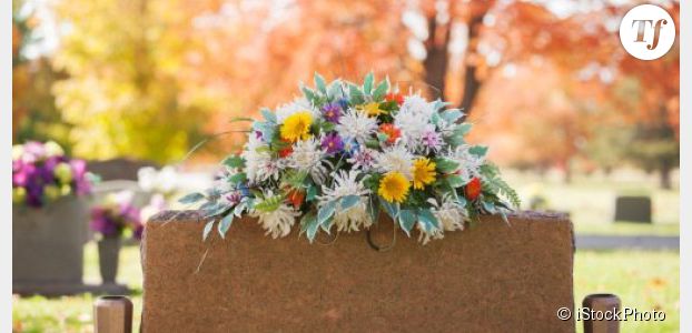 Toussaint 2013 : de moins en moins de chrysanthèmes dans les cimetières
