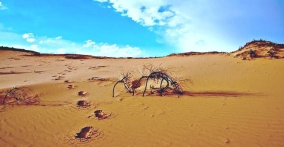 Le réchauffement climatique affecterait déjà les stocks de nourriture