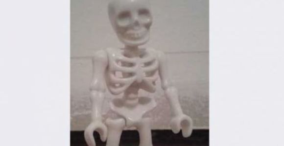 Le Bon Coin : une annonce très noire pour un Playmobil venu de Fukushima