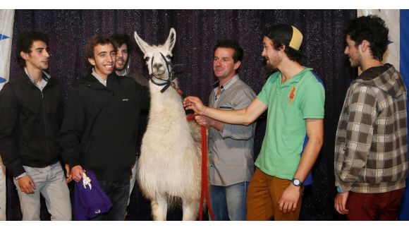 Serge le lama : les retrouvailles avec ses kidnappeurs - vidéo