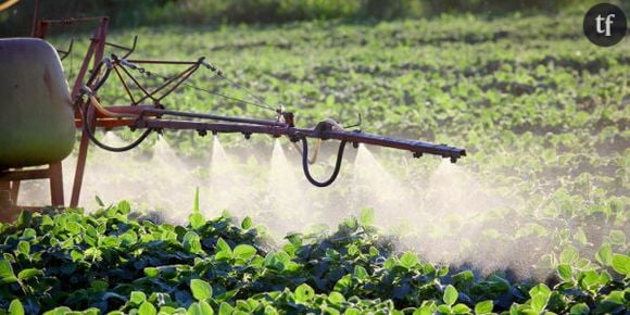 3 conseils pour éviter de manger des pesticides